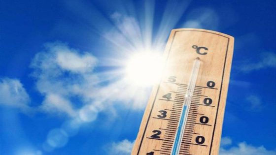 درجات الحرارة المتوقعة يوم الاثنين 24 يوليو 2023