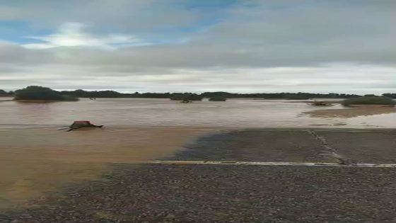 حمولة كبيرة لوادي تغبالت