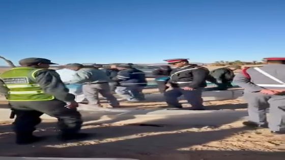 قيادة “أديس” بطاطا: السلطات تتدخل لإتلاف زراعات “الدلاح” المخالفة للقرار العاملي…