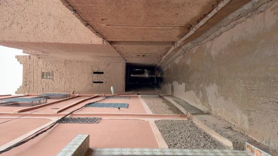 أجمل شعور؟ رائحة الأرض في زاكورة بعد المطر.