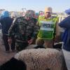 أضاحي العيد بزاكورة: لجنة إقليمية تضبط مخالفات ومضاربات بالأسواق
زاكورة نيوز – …