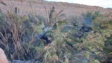 إلى: #السلطة_المحلية وأعيان و ساكنة دوار تلاكلو
الموضوع: إجراءات عاجلة لحماية وا…