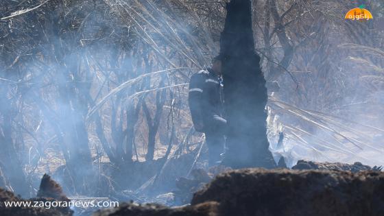 حريق تسركات زاكورة.. عناصر الوقاية المدنية تواصل جهود الإخماد زاكورة نيوز – متا…