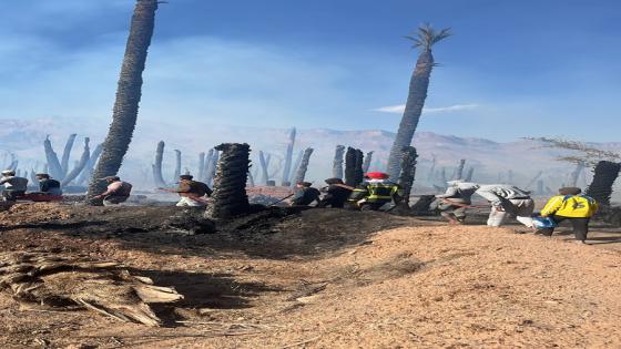حريق مهول يلتهم حوالي 1000 نخلة بـ “تسركات”: واحات زاكورة تستغيث قبل فصل الصيف …