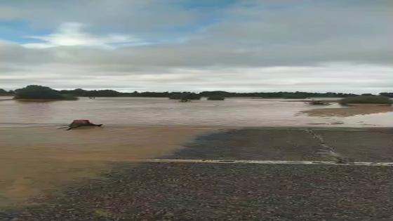 حمولة كبيرة لوادي تغبالت