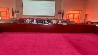 داء الليشمانيا بزاكورة: اجتماع تنسيقي بالعمالة لتقييم جهود محاربة نواقل العدوى …