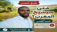 شيخوخة الدول لا تبدأ عندما يمتلئ المجتمع بالمسنين، بل تبدأ عندما تتراجع الولادات…