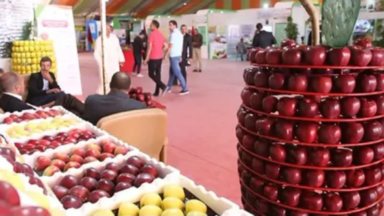 ميدلت تحتضن الدورة السادسة للملتقى الوطني للتفاح لتعزيز التنمية الجبلية زاكورة …