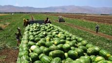 هل انتهى زمن الدلاح بزاكورة.. قرار المنع يلوح في الأفق زاكورة نيوز تتجه السلط…